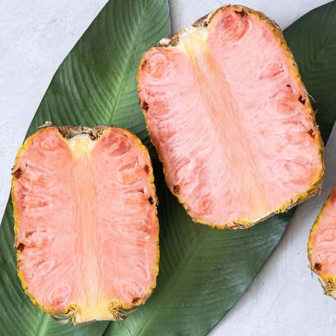 Pineapple Seeds – Pink