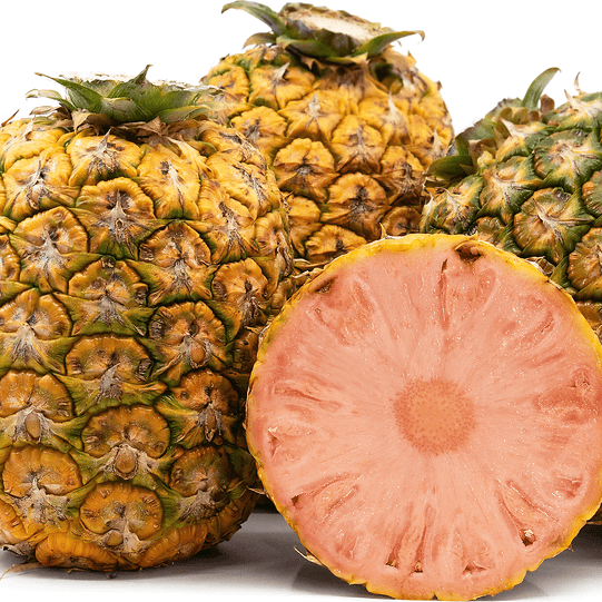 Pineapple Seeds – Pink