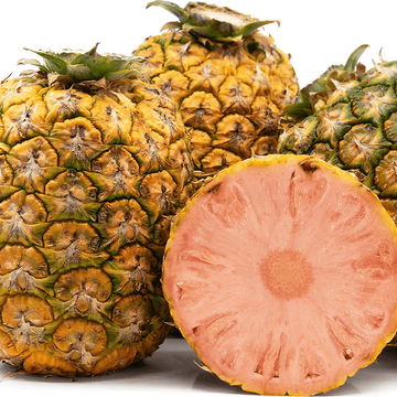 Pineapple Seeds – Pink