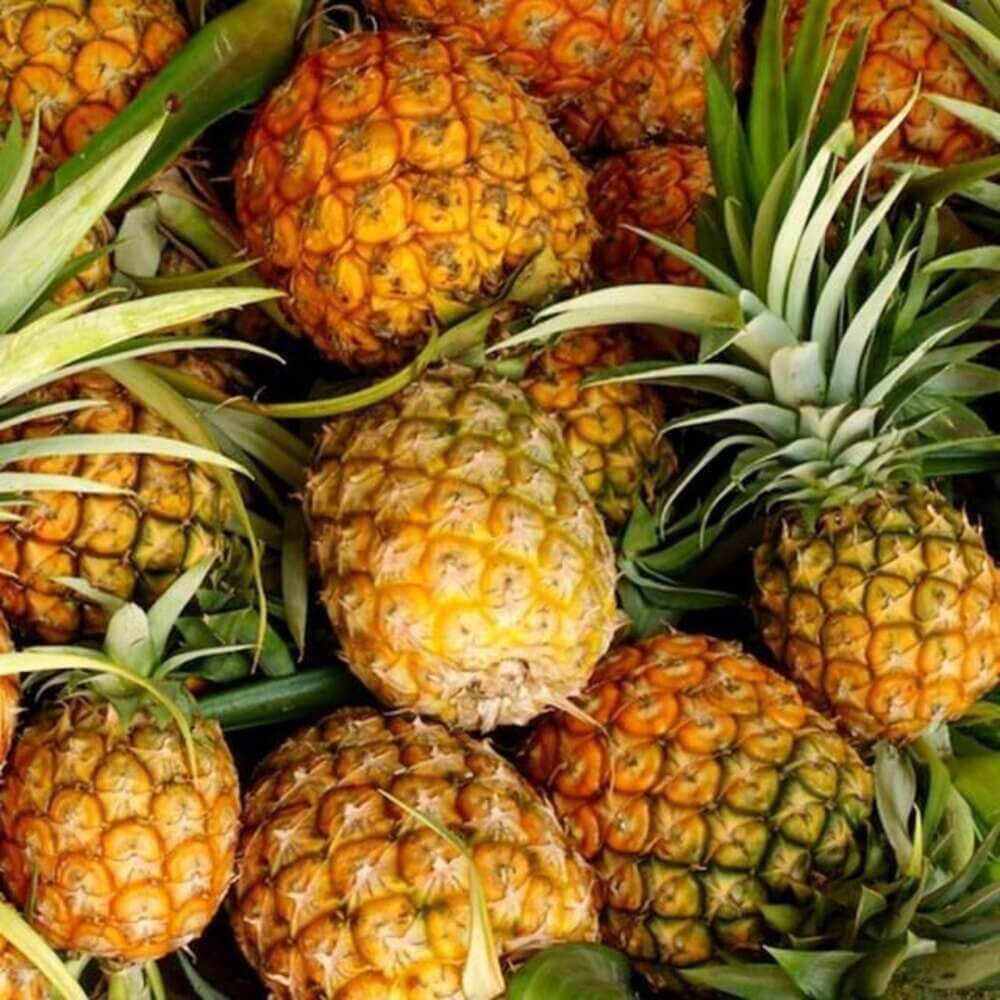 Pineapple Seeds - All In One For Home Gardens
