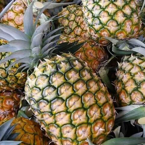 Pineapple Seeds – Orange Green