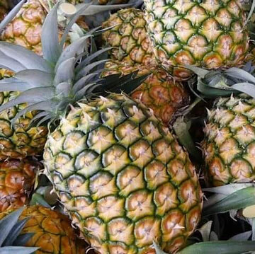 Pineapple Seeds – Orange Green