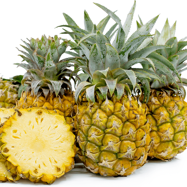 Pineapple Seeds – Queen Victoria
