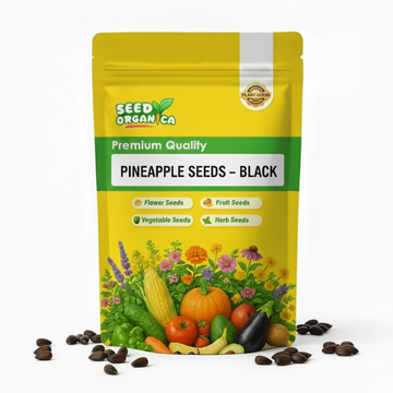 Pineapple Seeds – Black