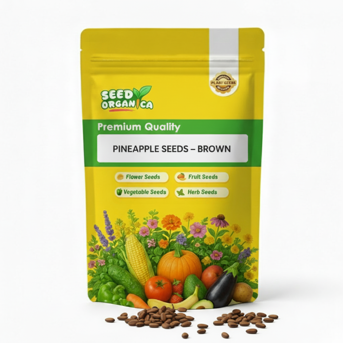 Pineapple Seeds – Brown