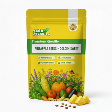 Pineapple Seeds – Golden Sweet