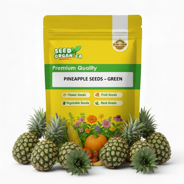 Pineapple Seeds – Green
