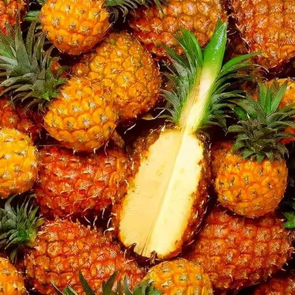 Pineapple Seeds – Orange