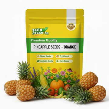 Pineapple Seeds – Orange