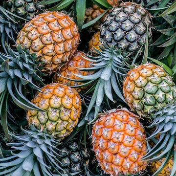 Pineapple Seeds – Orange Green