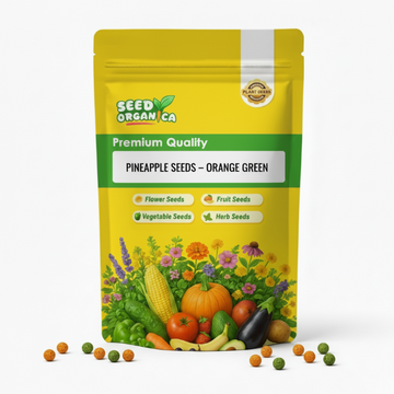Pineapple Seeds – Orange Green