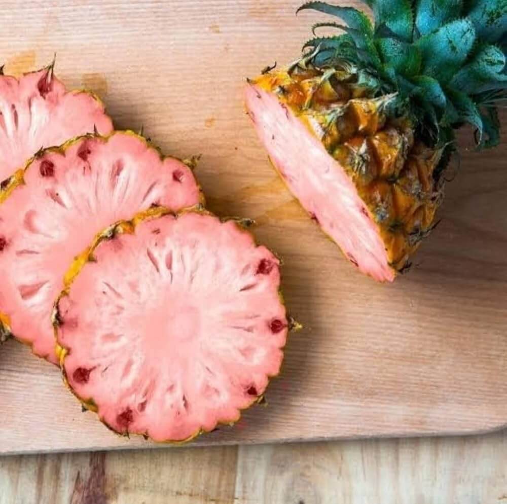 Pineapple Seeds – Pink