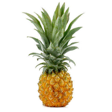 Pineapple Seeds – Queen Victoria
