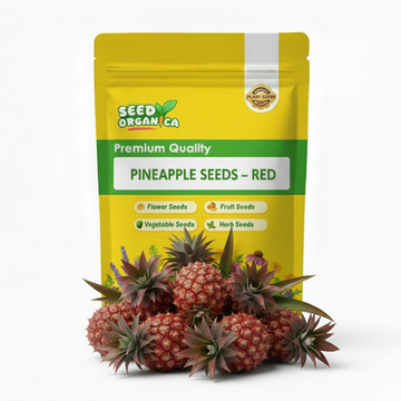 Pineapple Seeds – Red