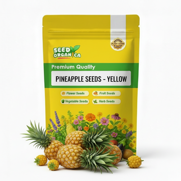 Pineapple Seeds – Yellow