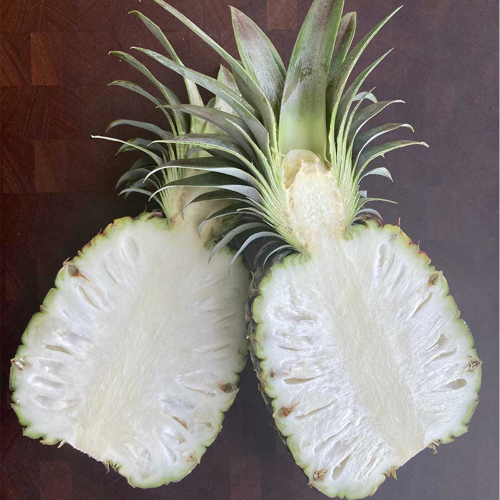 Pineapple Seeds – White Flesh