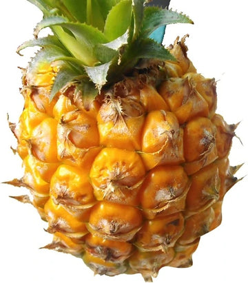 Pineapple Seeds – Yellow