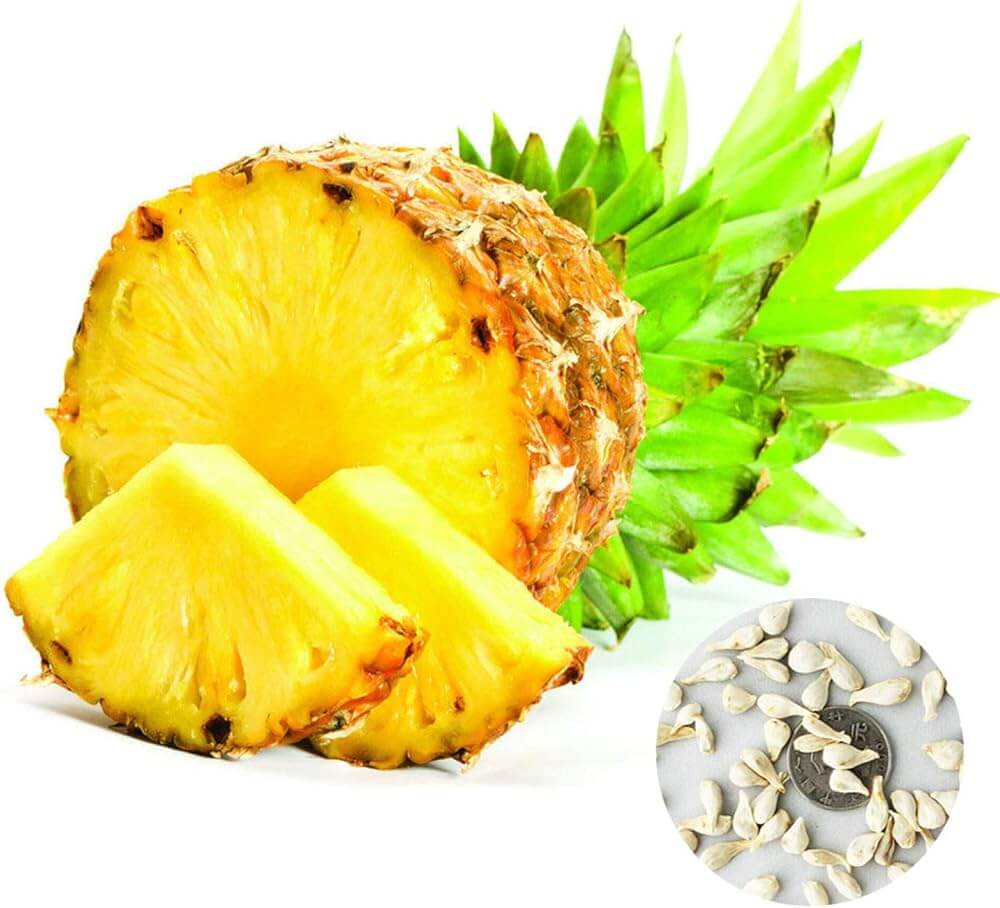 Pineapple Seeds – Yellow