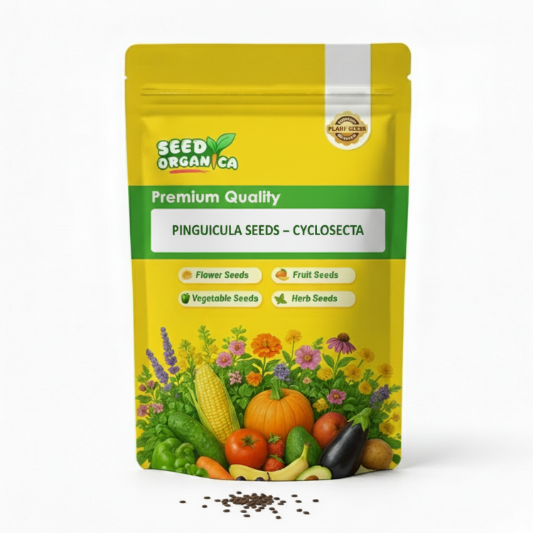 Pinguicula Seeds – Cyclosecta