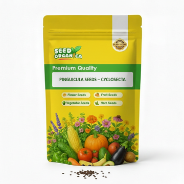 Pinguicula Seeds – Cyclosecta