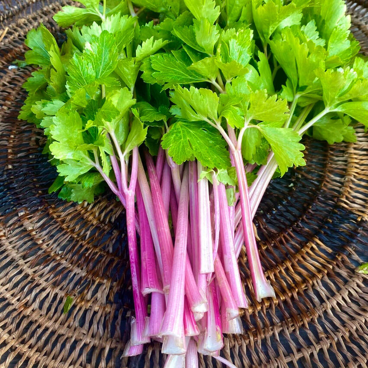 Pink Chinese Celery Seeds - Vegetable Plant