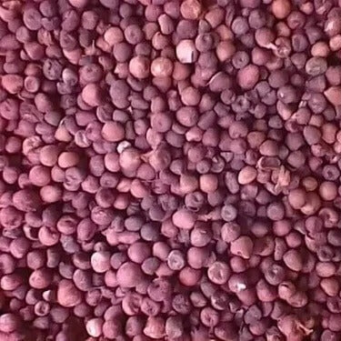Pink Crocus Seeds