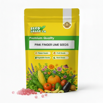 Pink Finger Lime Seeds