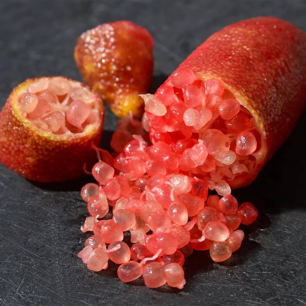 Pink Finger Lime Seeds