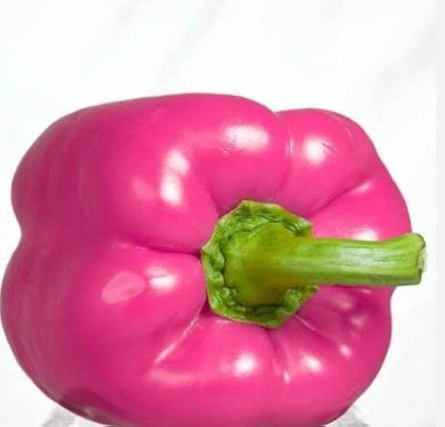 Pink Pepper Seeds