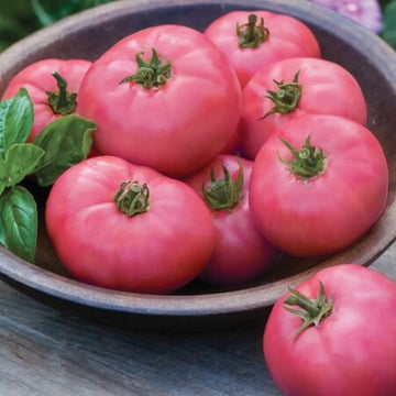Tomato Seeds – Pink
