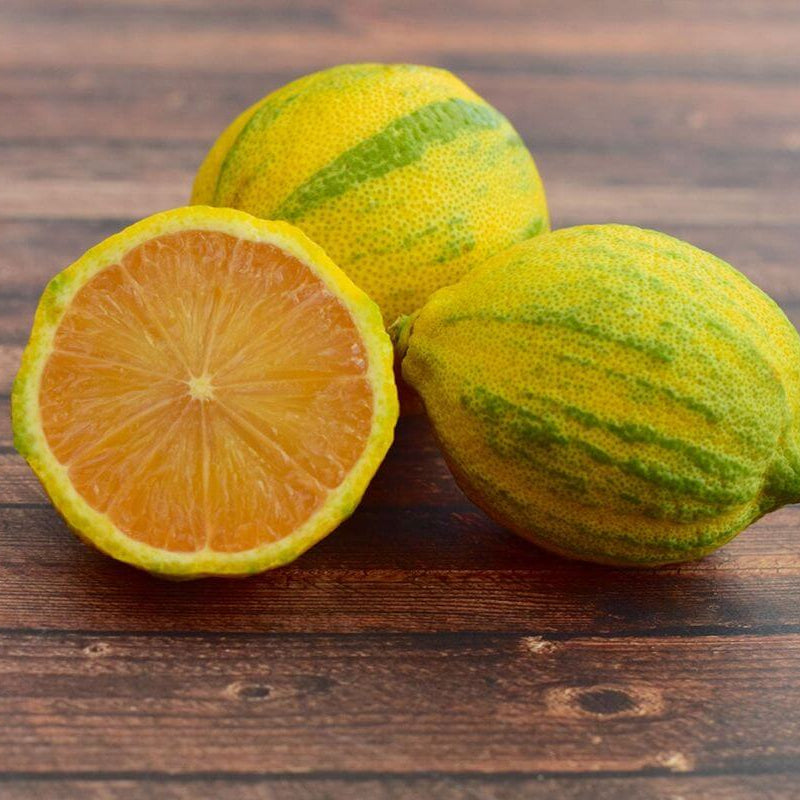 Pink Variegated Lemon Seeds