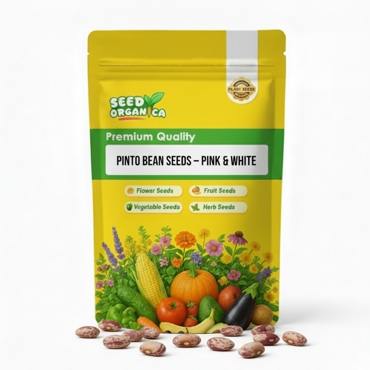 Pinto Bean Seeds – Pink & White
