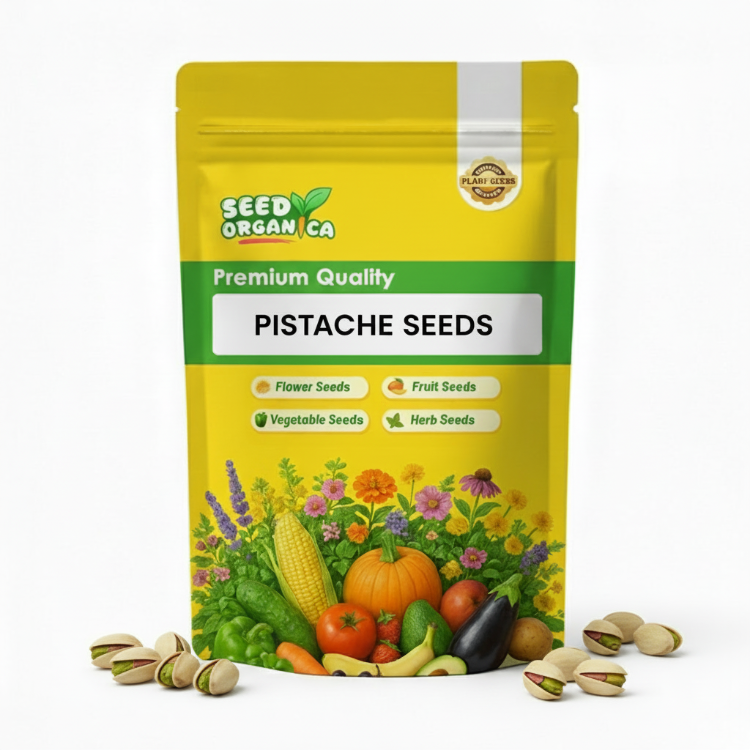 Pistache Seeds