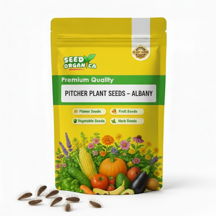 Pitcher Plant Seeds – Albany