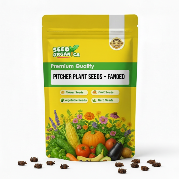 Pitcher Plant Seeds – Fanged