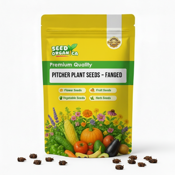 Pitcher Plant Seeds – Fanged