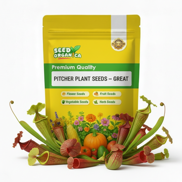 Pitcher Plant Seeds – Great