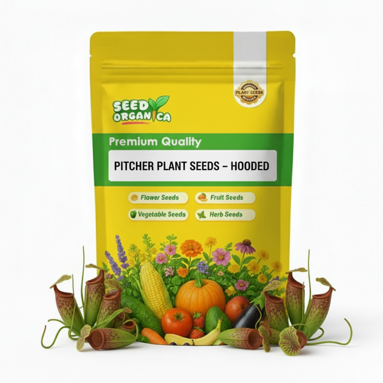 Pitcher Plant Seeds – Hooded