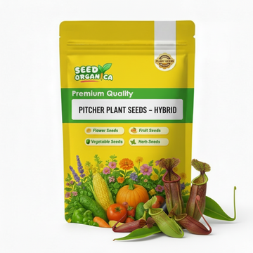 Pitcher Plant Seeds – Hybrid