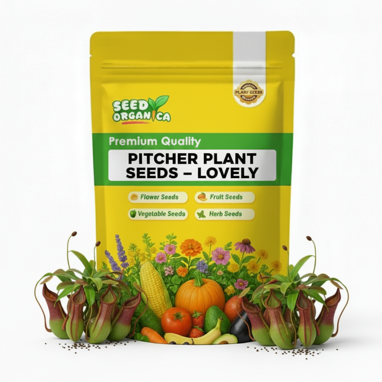 Pitcher Plant Seeds – Lovely