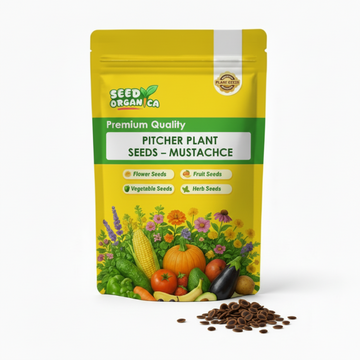 Pitcher Plant Seeds – Mustache