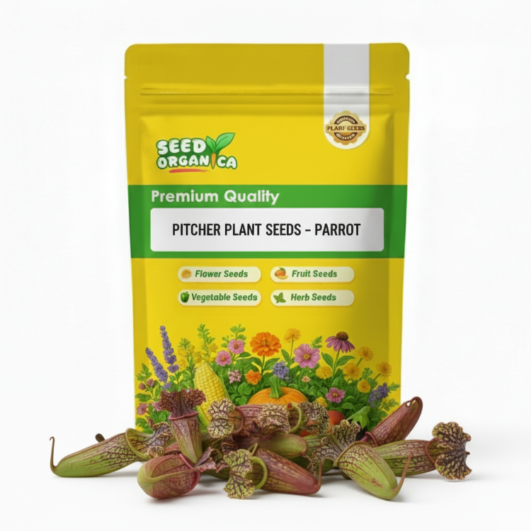 Pitcher Plant Seeds – Parrot