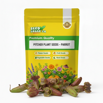 Pitcher Plant Seeds – Parrot