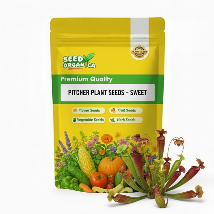 Pitcher Plant Seeds – Sweet