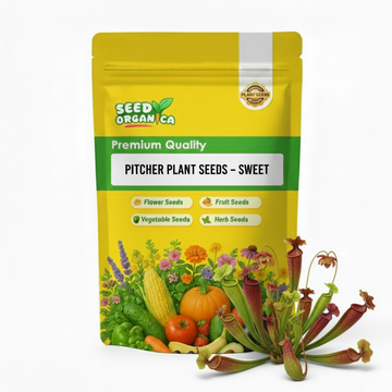 Pitcher Plant Seeds – Sweet