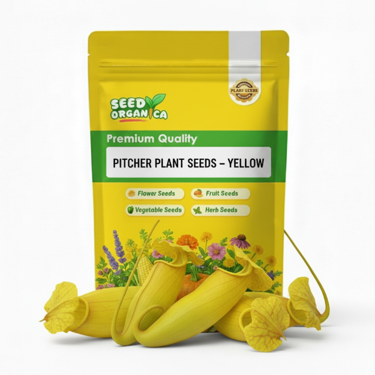 Pitcher Plant Seeds – Yellow
