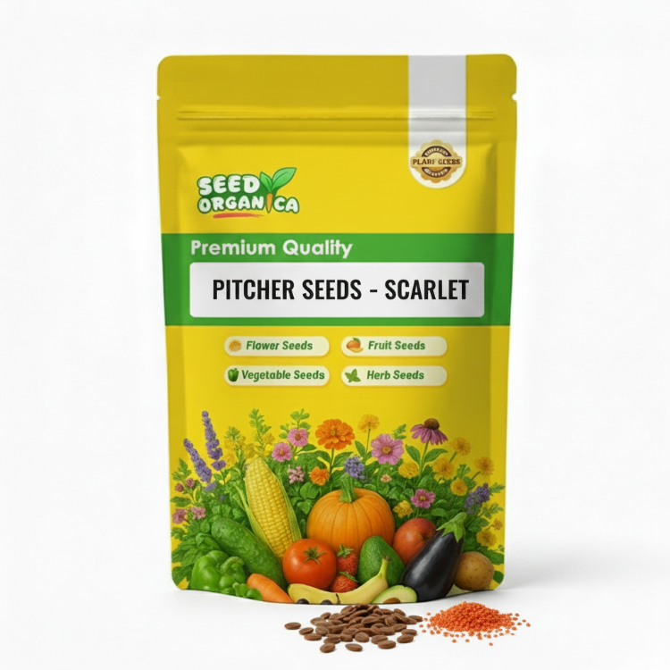 Pitcher Seeds – Scarlet