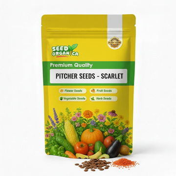 Pitcher Seeds – Scarlet