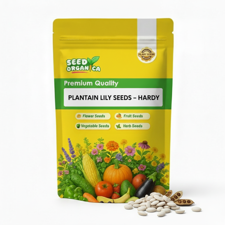 Plantain Lily Seeds – Hardy