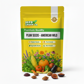 Plum Seeds - American Wild